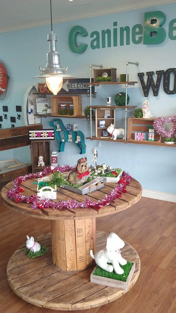 canine beach lobby interior