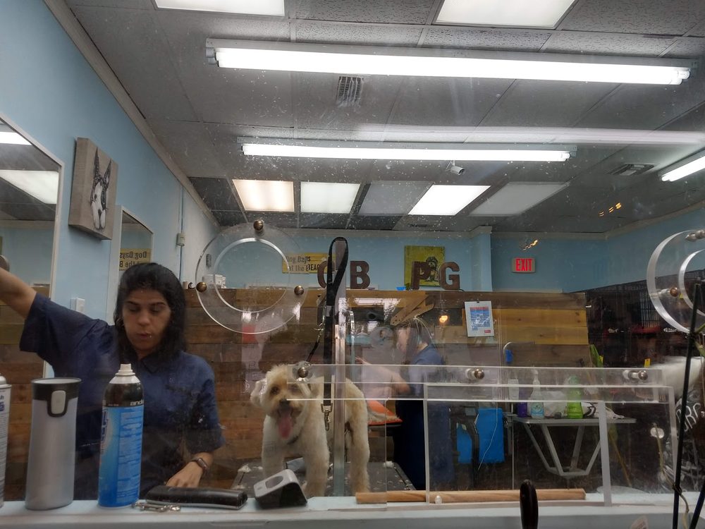 salon interior grooming station